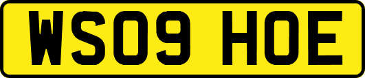WS09HOE