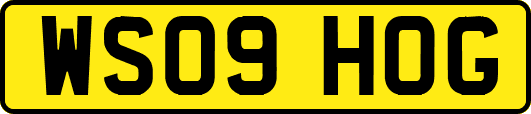 WS09HOG
