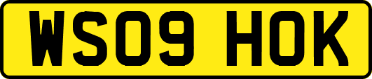 WS09HOK