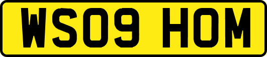 WS09HOM