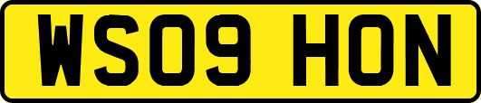 WS09HON