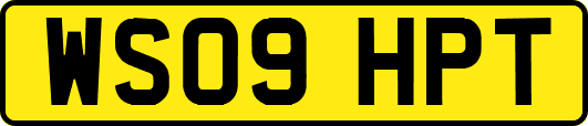 WS09HPT
