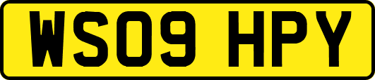 WS09HPY