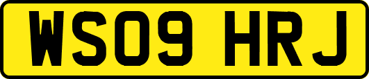 WS09HRJ