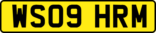 WS09HRM