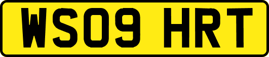WS09HRT
