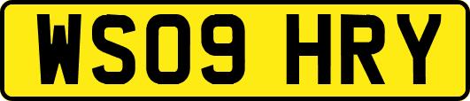 WS09HRY