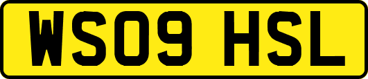WS09HSL