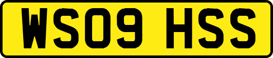 WS09HSS