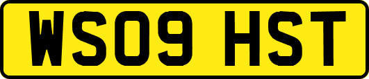 WS09HST