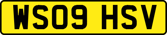 WS09HSV