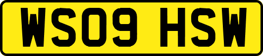WS09HSW