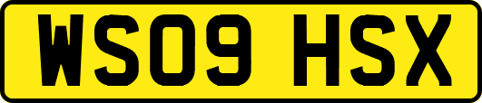 WS09HSX