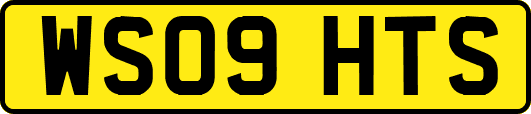 WS09HTS
