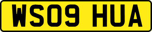 WS09HUA