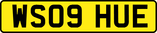 WS09HUE