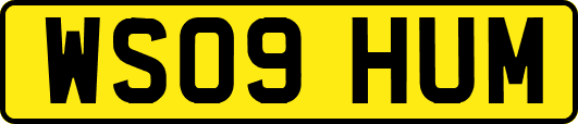 WS09HUM