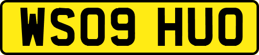 WS09HUO