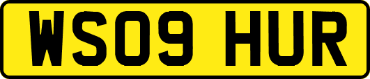 WS09HUR