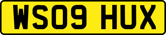 WS09HUX