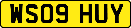 WS09HUY