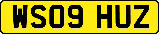 WS09HUZ