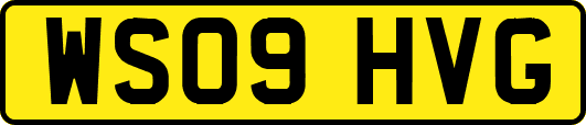 WS09HVG