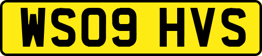 WS09HVS