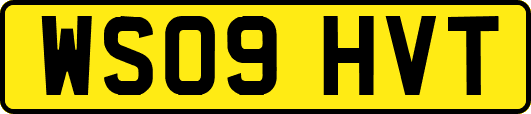 WS09HVT