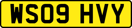 WS09HVY