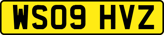 WS09HVZ
