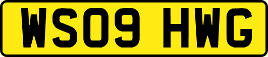 WS09HWG