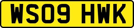 WS09HWK