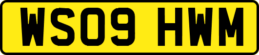 WS09HWM