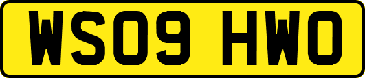 WS09HWO