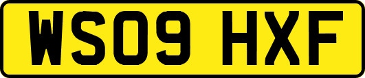 WS09HXF