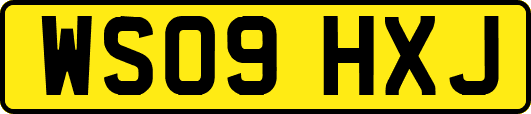 WS09HXJ