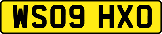 WS09HXO