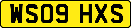 WS09HXS