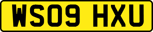 WS09HXU