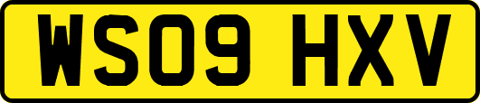 WS09HXV