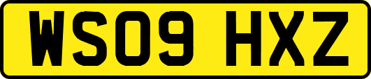 WS09HXZ
