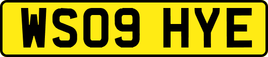 WS09HYE