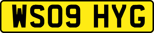 WS09HYG