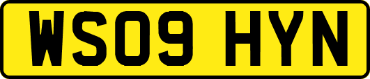 WS09HYN