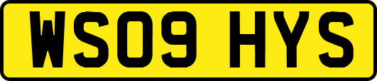 WS09HYS