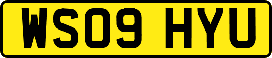 WS09HYU