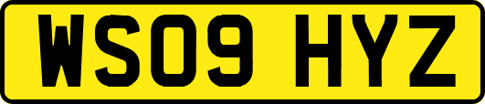 WS09HYZ