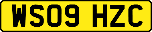 WS09HZC