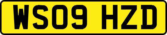 WS09HZD